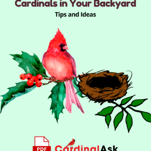 Building the Perfect Habitat for Cardinals in Your Backyard Tips and Ideas