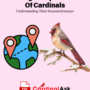 The Migratory Patterns of Cardinals Understanding Their Seasonal Journeys